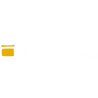 Ferns N Petals logo